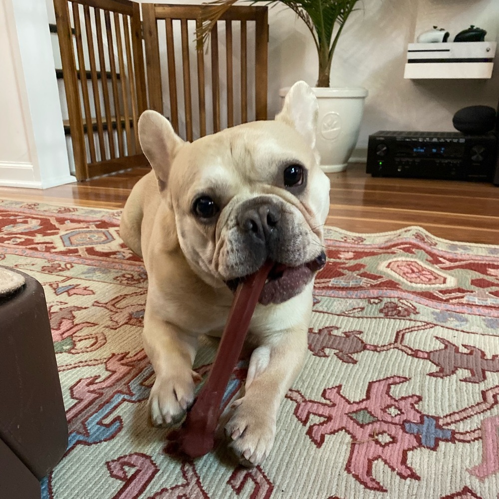 Meet your Posher, Ann molyn